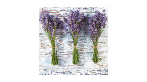 Three Bunches of Lavender