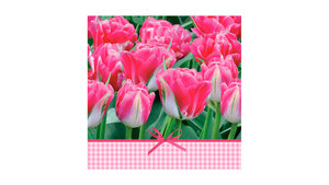 Pink Tulips Time